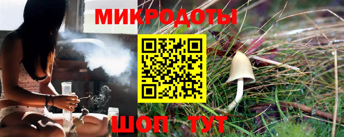 Псилоцибиновые грибы прущие грибы Зима
