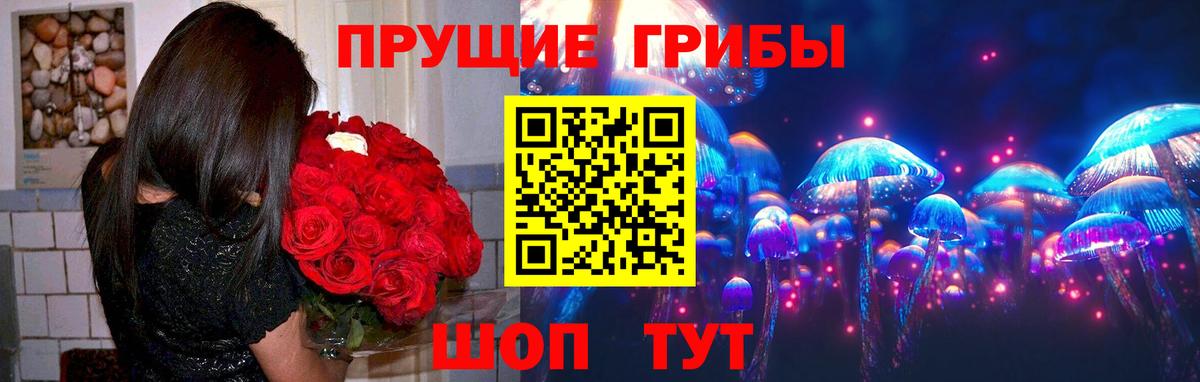 Галлюциногенные грибы прущие грибы  Вход с VPN  Зима  Галлюциногенные грибы MAGIC MUSHROOMS 